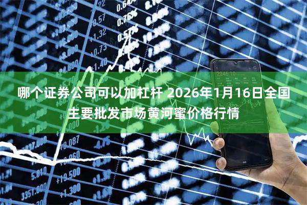 哪个证券公司可以加杠杆 2026年1月16日全国主要批发市场黄河蜜价格行情