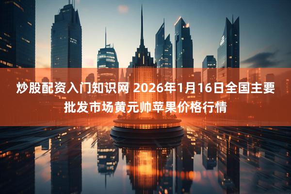 炒股配资入门知识网 2026年1月16日全国主要批发市场黄元帅苹果价格行情